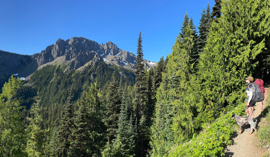 925px x 540px - Backpacking Marmot Pass - Upper Big Quilcene Trail