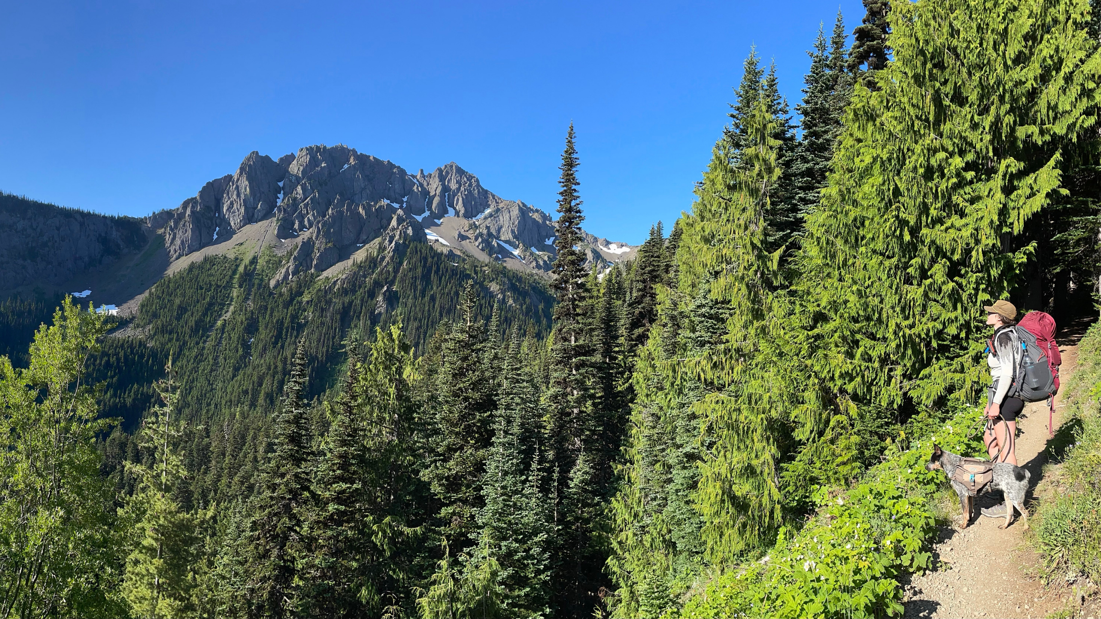 Fess C3 A9e - Backpacking Marmot Pass - Upper Big Quilcene Trail